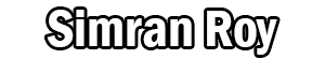 udaipur escort service